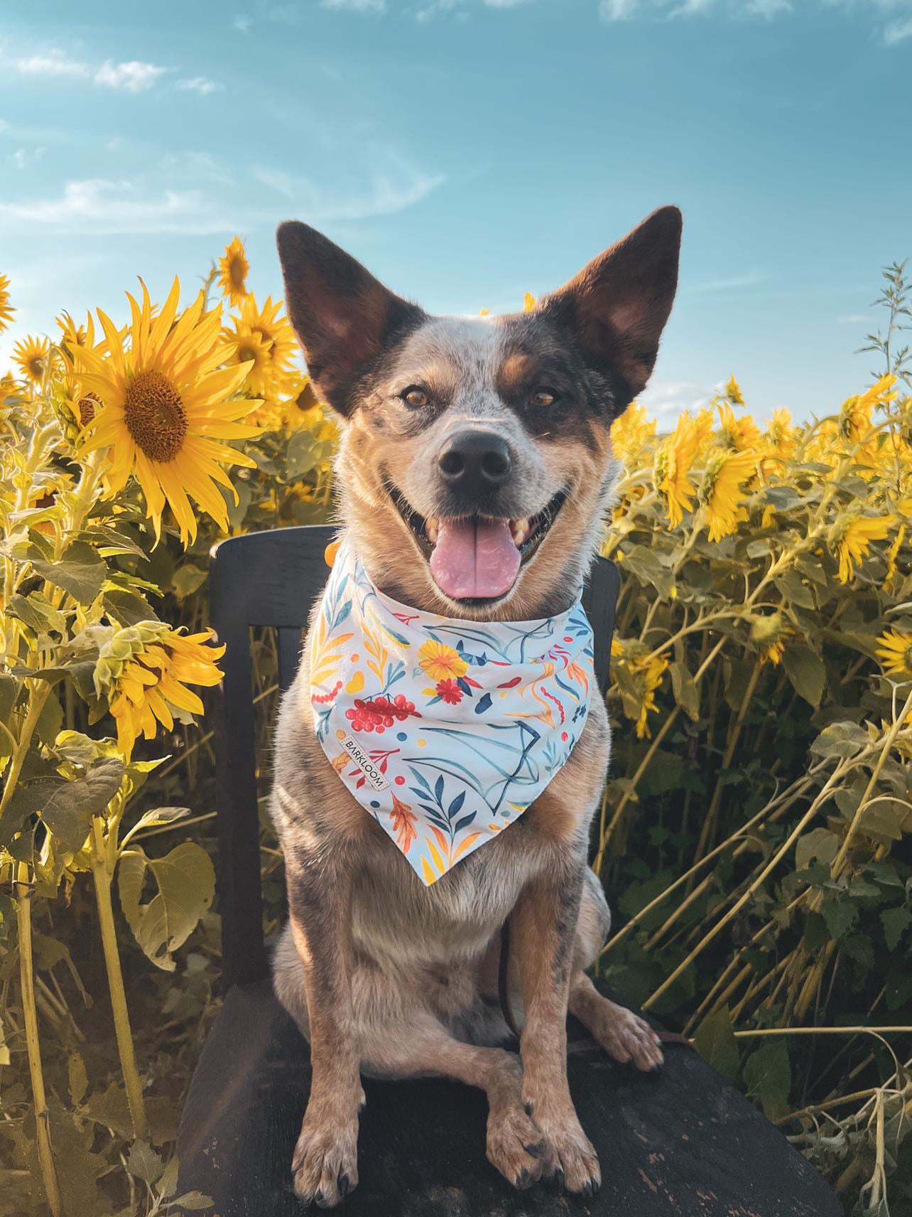 Liberty Dog Bandana
